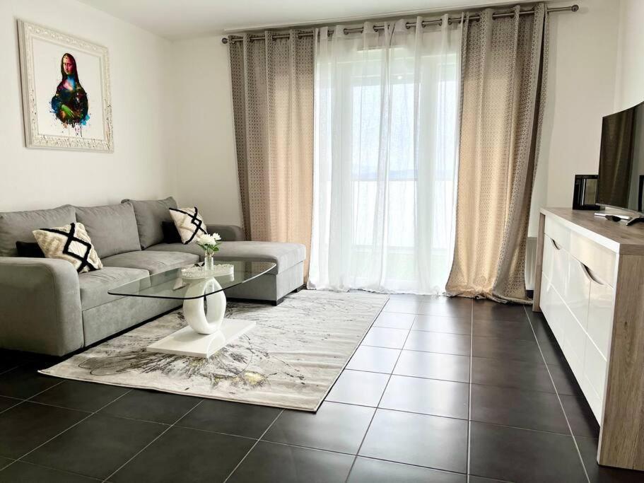 Appartement T2 Vue Panoramique Sur Annecy セーノッド エクステリア 写真