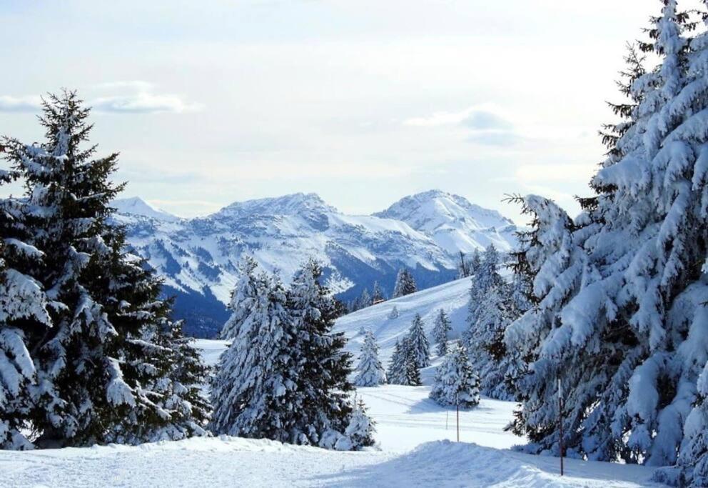 Appartement T2 Vue Panoramique Sur Annecy セーノッド エクステリア 写真