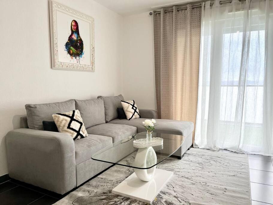 Appartement T2 Vue Panoramique Sur Annecy セーノッド エクステリア 写真